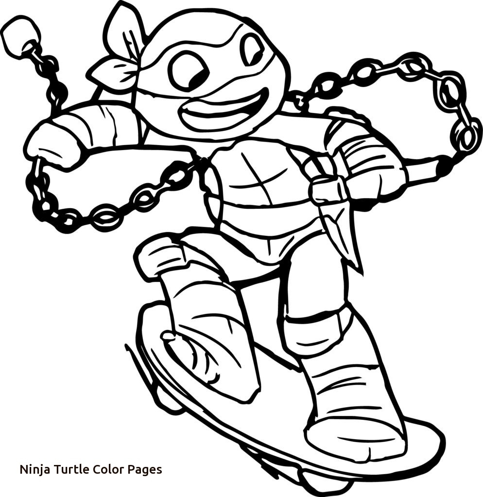 994x1024 Baby Ninja Turtle Coloring Pages Gallery Coloring For Kids 2018
