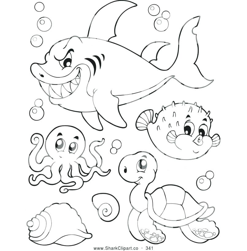 805x821 Octopus Color Page Realistic Octopus Coloring Page Amazing Picture