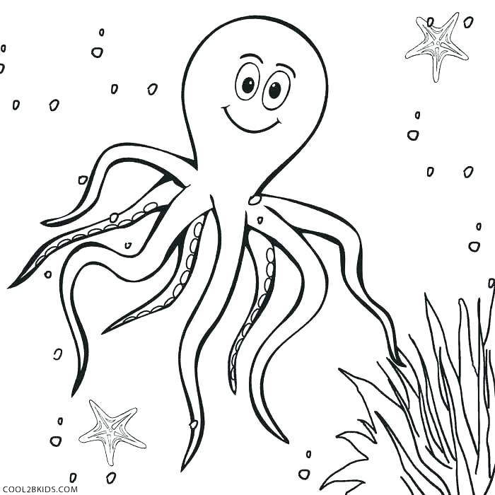 700x700 Octopus Coloring Pages Amazing Octopus Coloring Page Perfect