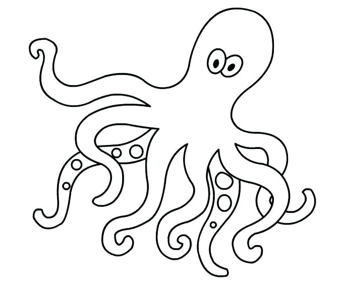 678x600 Octopus Coloring Pages Octopus Coloring Pages Printable Cute