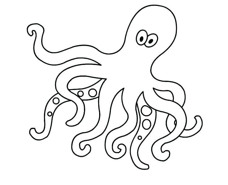 736x598 Octopus Coloring Pages Realistic Octopus Coloring Pages