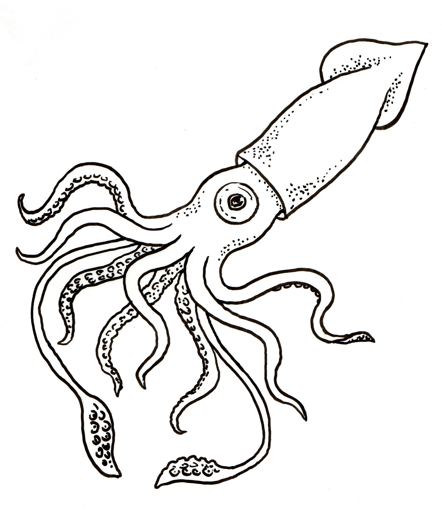 1496x1727 Excellent Octopus Pictures To Colour Coloring Page 1593 505 470