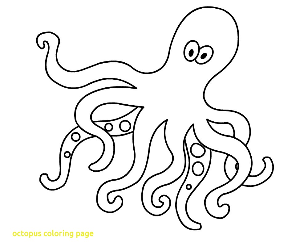 1000x813 Unsurpassed Octopus Coloring Sheet Clipart Baby Page
