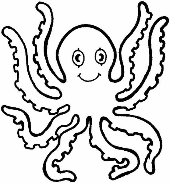 558x600 Octopus Coloring Page For Toddlers Octopus Cartoon Pictures