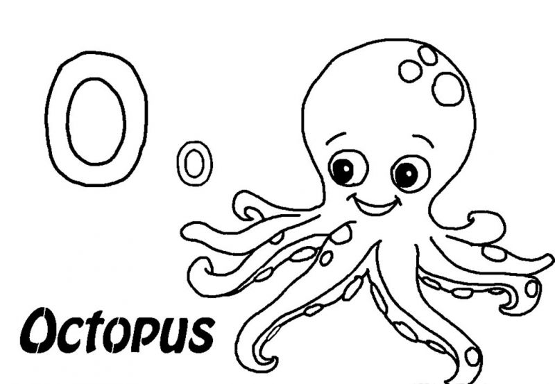 800x554 O Is For Octopus Coloring Pages Animal Coloring Pages