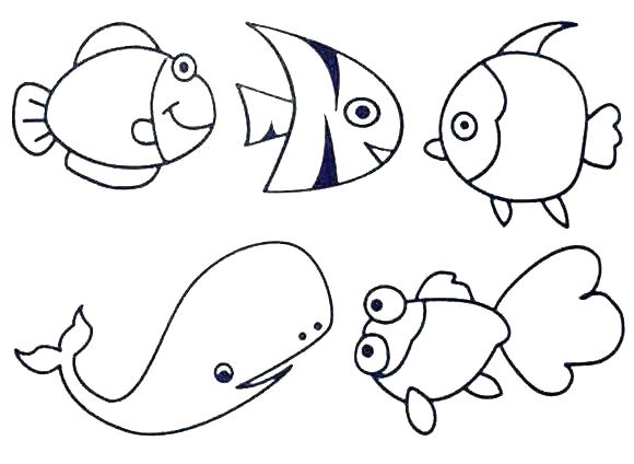 580x424 Sea Otter Coloring Pages Sea Otter Coloring Pages Cartoon Sea