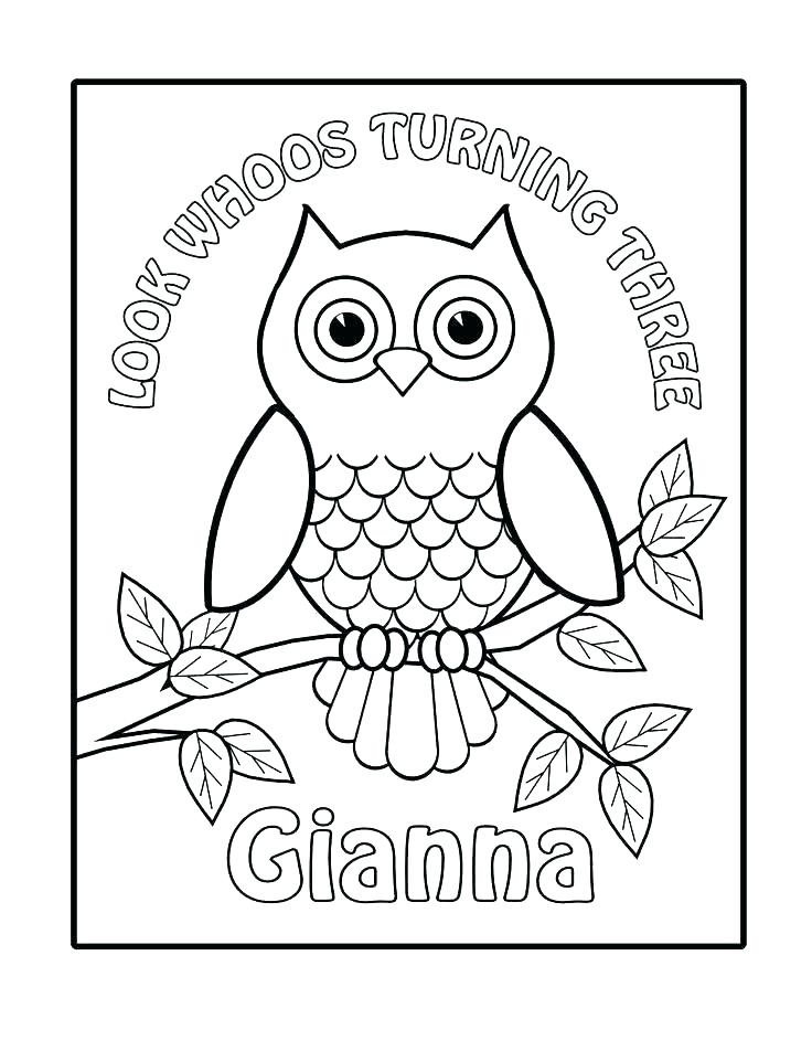 736x952 Owl Coloring Pages For Kids Free Printable Owl Coloring Pages Owl