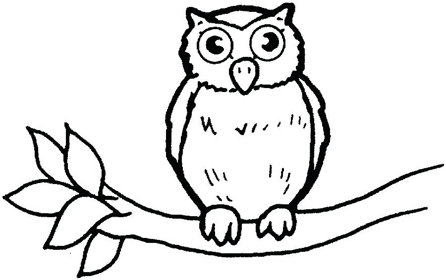 900x566 Wonderful Baby Owl Coloring Pages Coloring Boo Unknown Wonderful