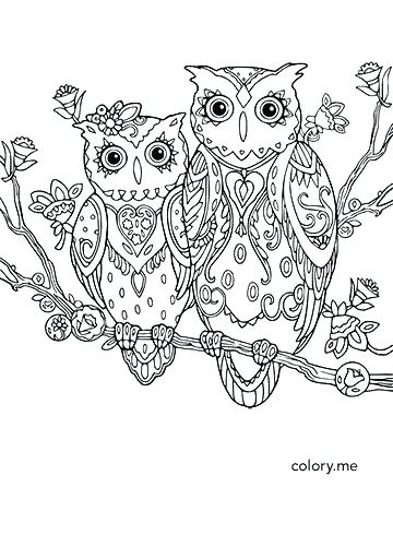 Baby Owl Coloring Pages To Print
