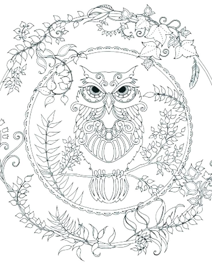 736x919 Owl Printable Coloring Pages Free Printable Baby Owl Coloring