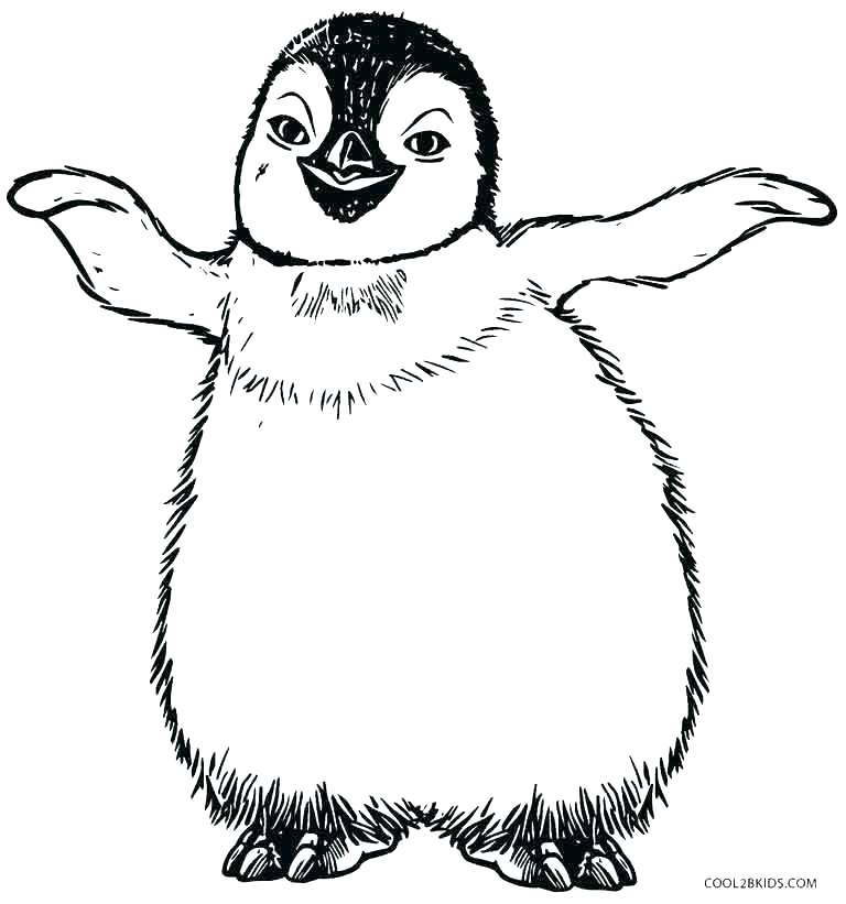 768x821 Erect Crested Penguin Coloring Page Free Printable Coloring Pages