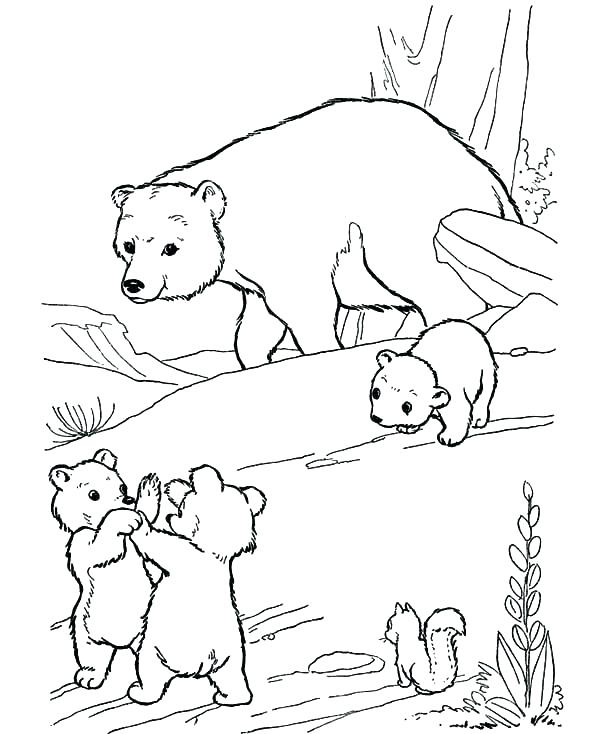 600x734 Coloring Pages Mother And Baby Coloring Pages Of Polar Bears Polar