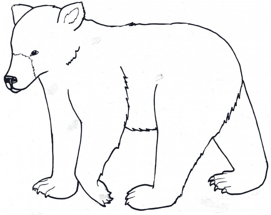 940x746 43 Baby Bear Coloring Page, Baby Polar Bear Coloring Pages Az