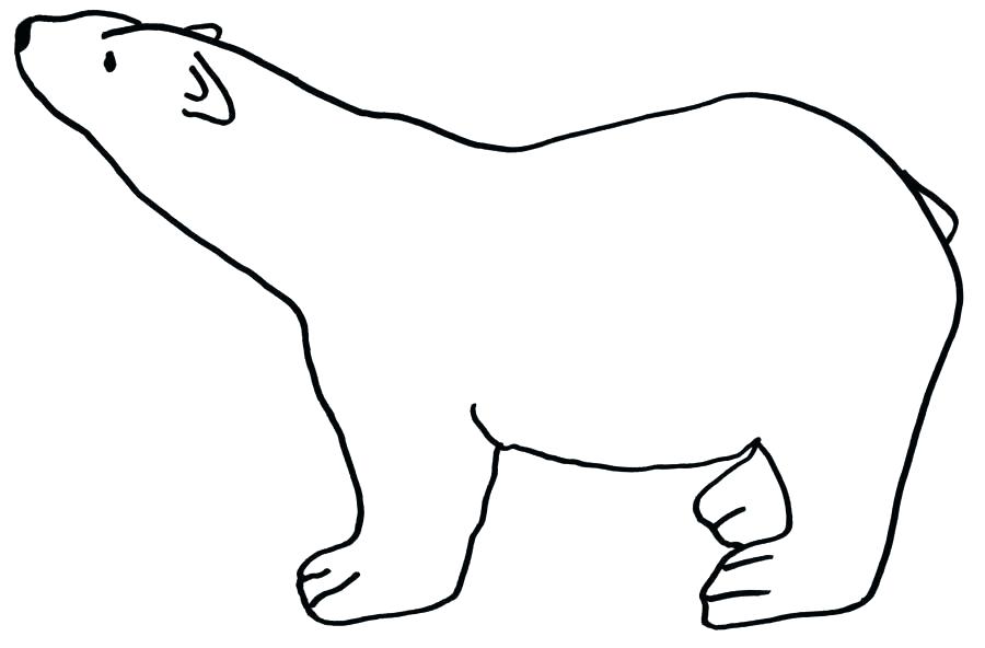 900x592 Polar Bear Color Sheet Polar Bear Color Sheet Lovely Printable