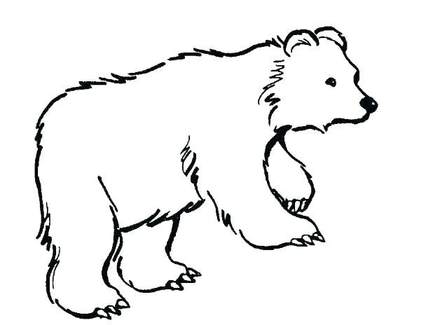 618x464 Polar Bear Coloring Pages Polar Bears Coloring Pages Polar Bears