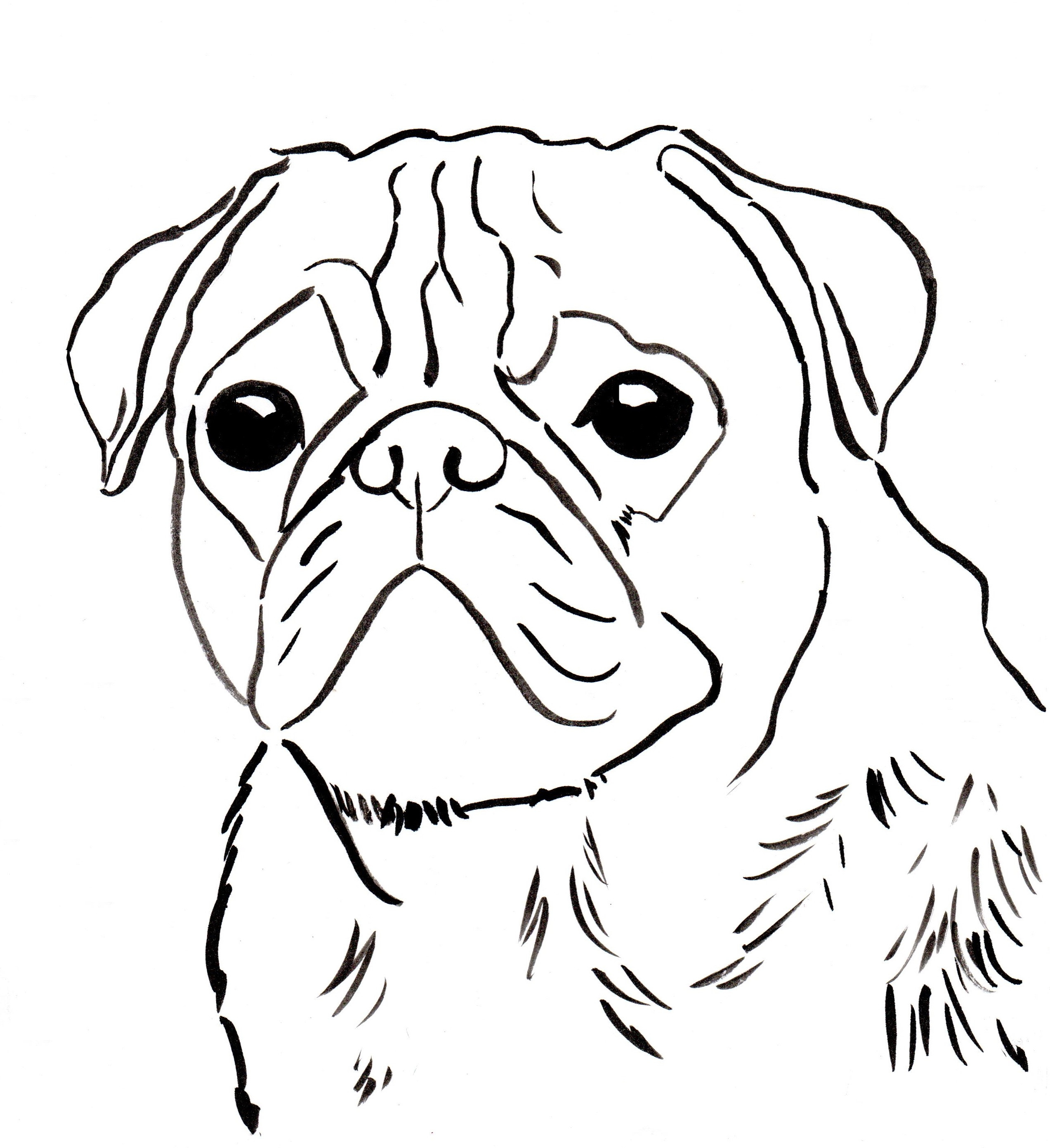 2545x2782 Pug Coloring Pages 14