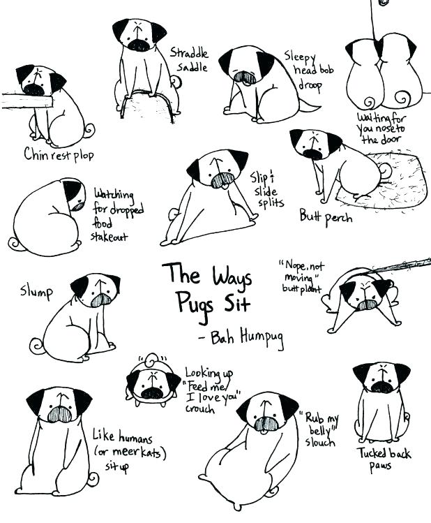 618x749 Pug Coloring Sheets Pug Coloring Pages As Well As Pug Coloring