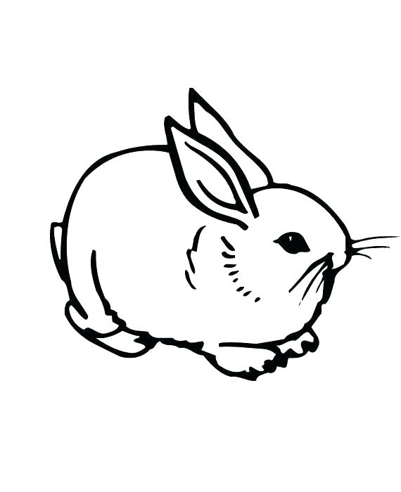 570x700 Baby Rabbit Coloring Sheet Kids Coloring Coloring Pages Of Bunnies