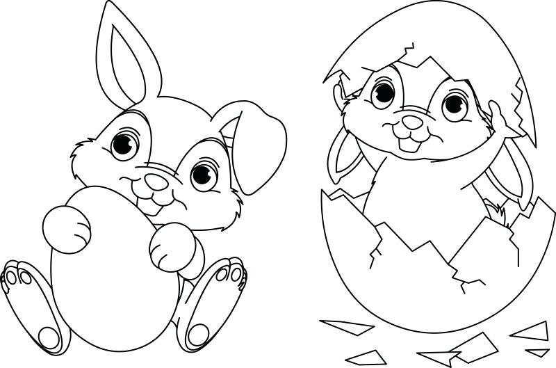 800x529 Baby Rabbit Colouring Pages Kids Coloring Baby Bunny Coloring
