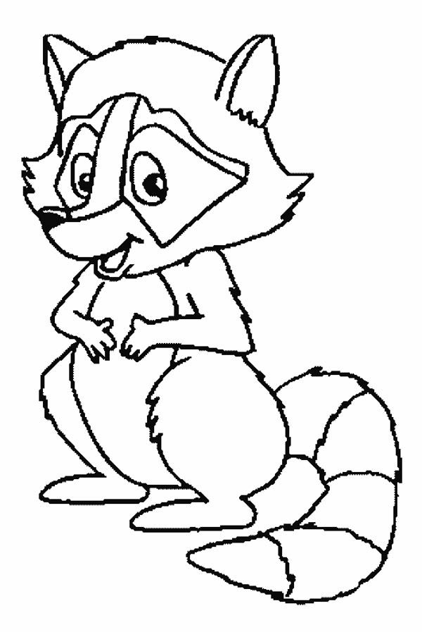 600x897 Cartoon Raccoon Coloring Pages.jpg Vbs 2015