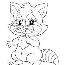 216x216 Raccoon Netart