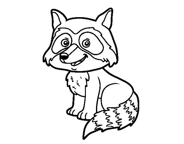 600x470 Raccoon Coloring Pages A Young Raccoon Coloring Page Baby Raccoon