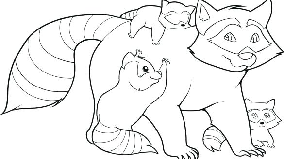 585x329 Raccoon Coloring Pages Funny Baby Raccoon Coloring Pages Cartoon