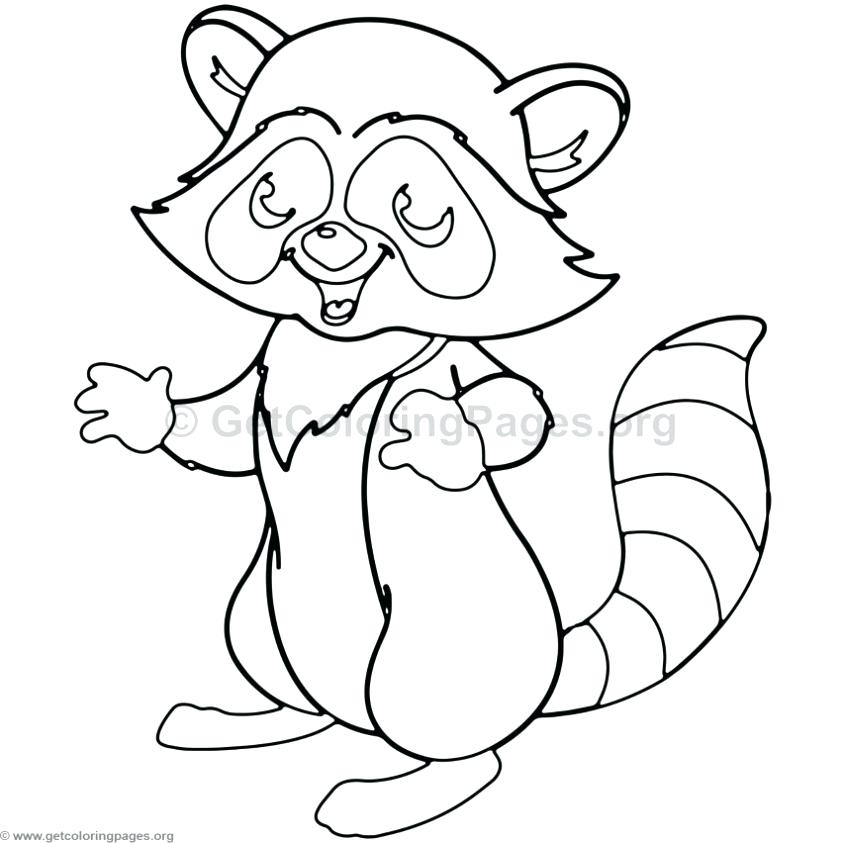 843x843 Raccoons Coloring Pages Cartoon Raccoon Coloring Pages Raccoon