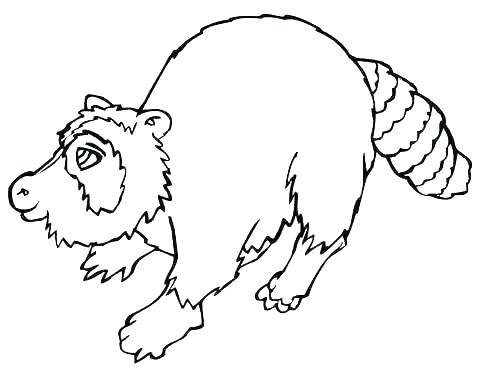 480x368 Racoon Coloring Page Baby Raccoon Coloring Pages Adventure