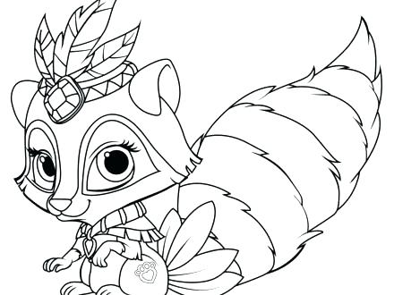 440x330 Racoon Coloring Page Baby Raccoon Coloring Pages Pictures Coloring