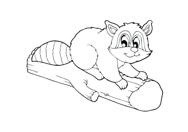 600x423 Baby Raccoon Coloring Pages Printable Coloring Coloring Page