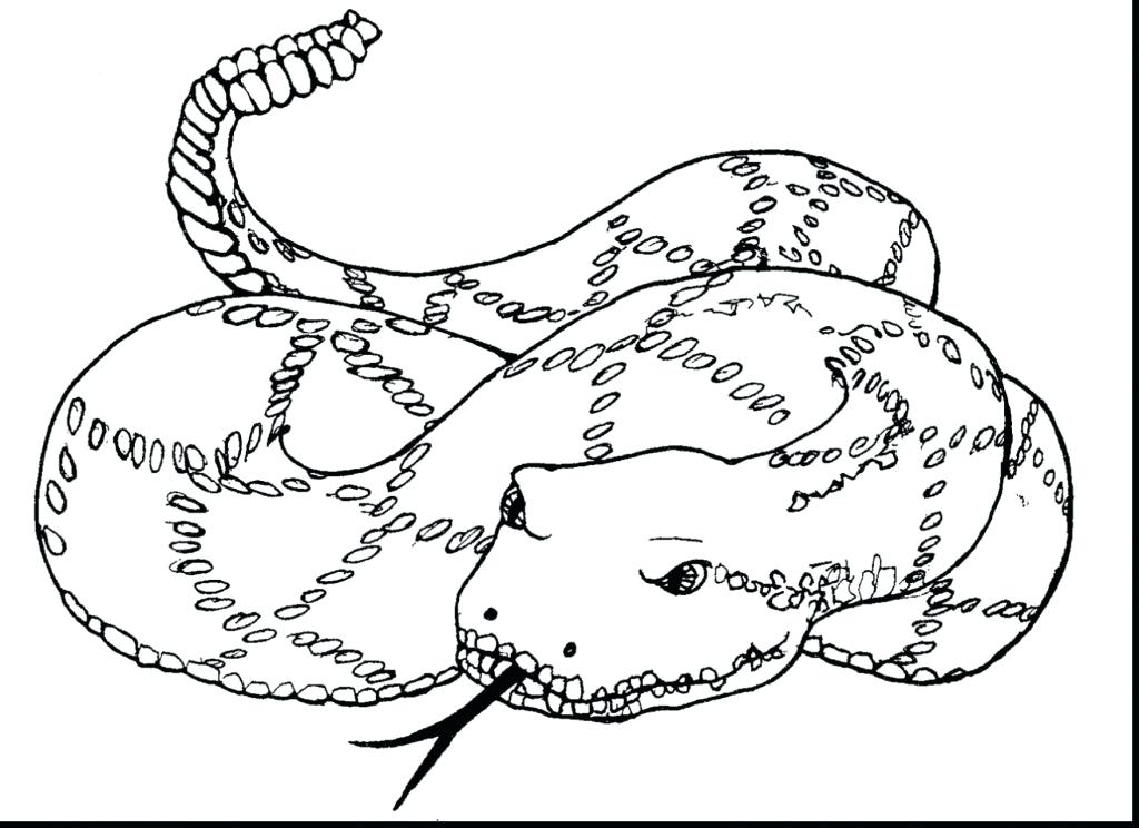 1024x744 Coloring Pages Of People Baby Rattle Royalty Free Illustration