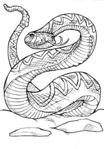 210x300 Encouragement Regarding Baby Animal Rattlesnake Coloring Page