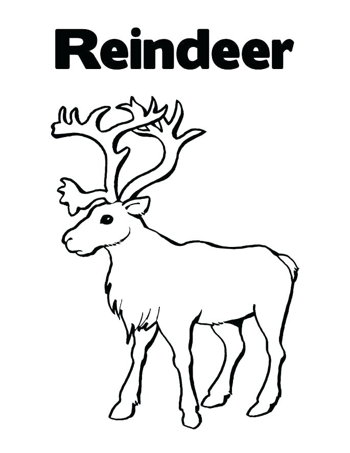 685x886 Reindeer Coloring Sheets Excellent Design Reindeer Coloring Sheets