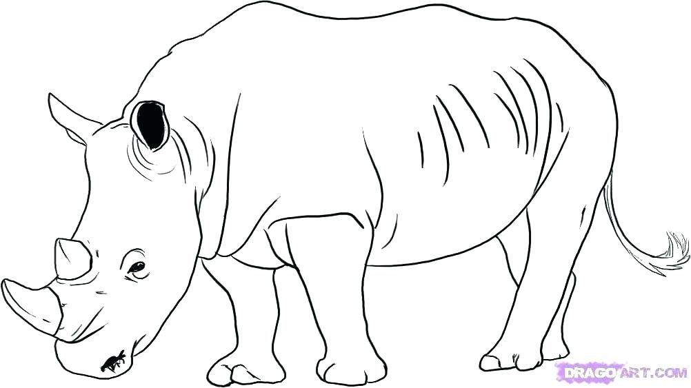 Baby Rhino Coloring Page