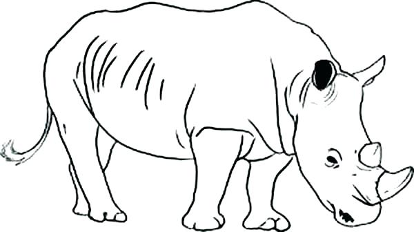600x336 Rhino Coloring Page Rhino Coloring Pages Rhino Coloring Page Wild