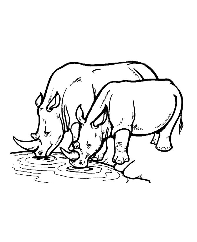 670x820 Rhino Clipart Coloring Page