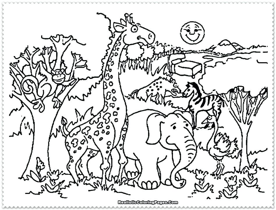 948x720 Jungle Animal Coloring Pages Printable On Baby Safari Animals Zoo