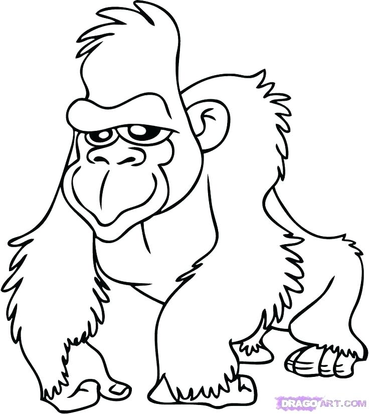 736x826 Safari Animals Coloring Pages Printable Jungle Animal Coloring