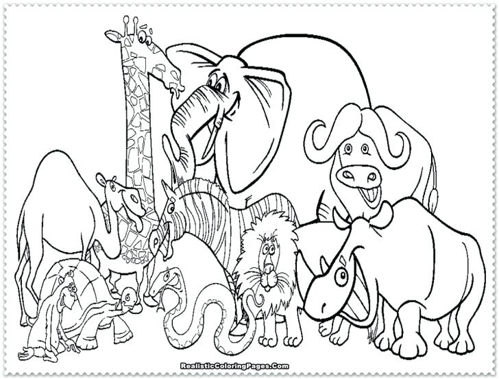 728x553 Safari Coloring Page Jungle Animal Coloring Pages Printable