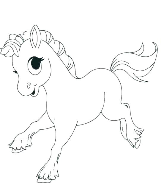 542x614 Baby Animals Pictures To Color S Baby Sea Animals Coloring Page