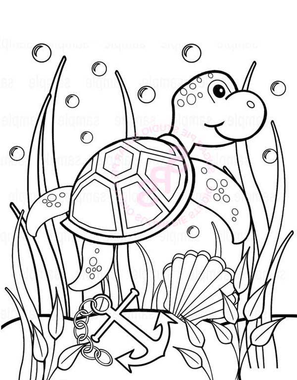 600x768 Baby Sea Turtle Play Between Seaweed Free Coloring Sheet