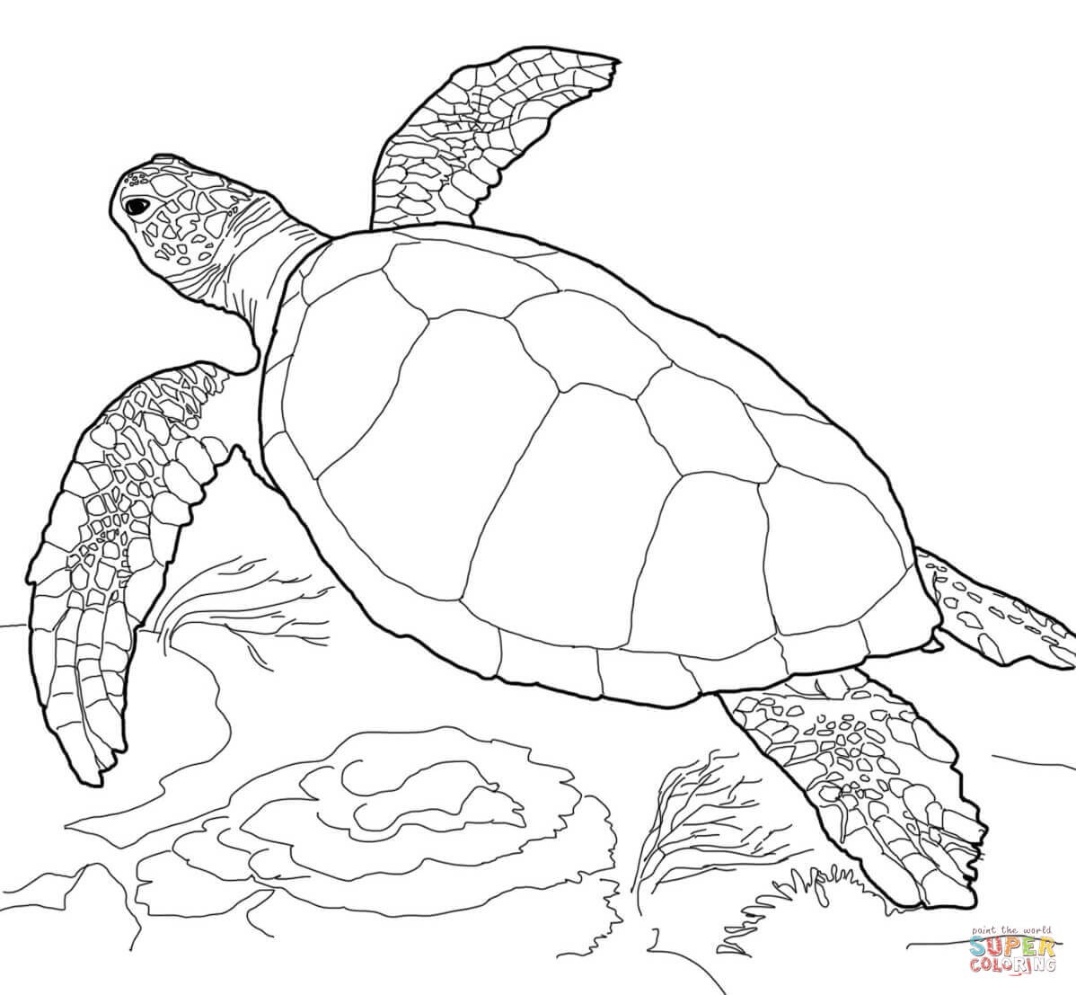1198x1107 Coloring For Kids Cute Baby Sea Turtle Pages Page Printable
