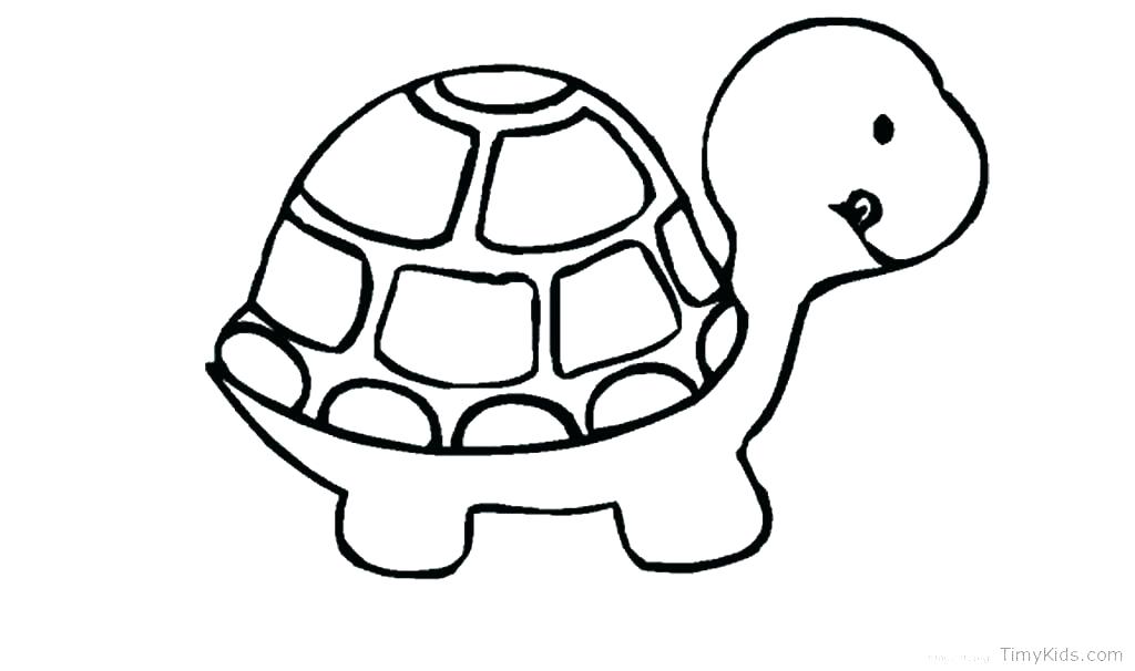 1024x606 Coloring Pages Of A Turtle Ninja Turtle Coloring Book As Well As