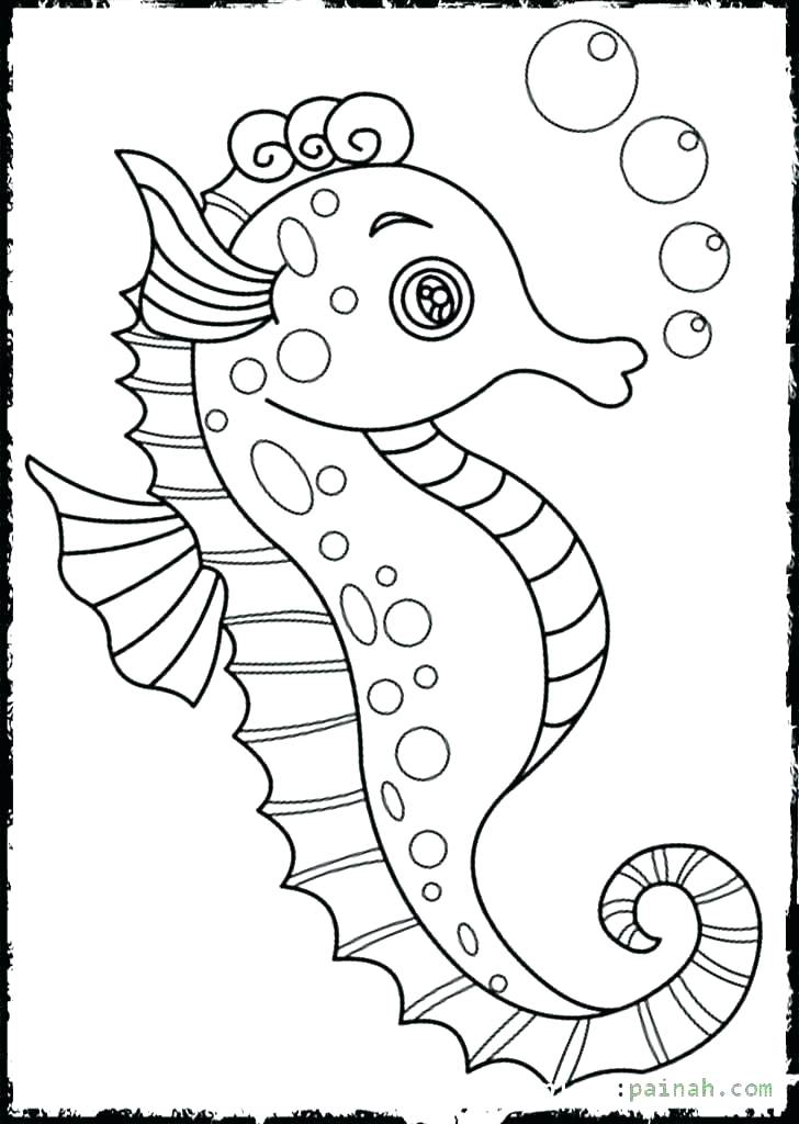 728x1024 Seahorse Coloring Page Baby Seahorse Coloring Pages Mister Cute
