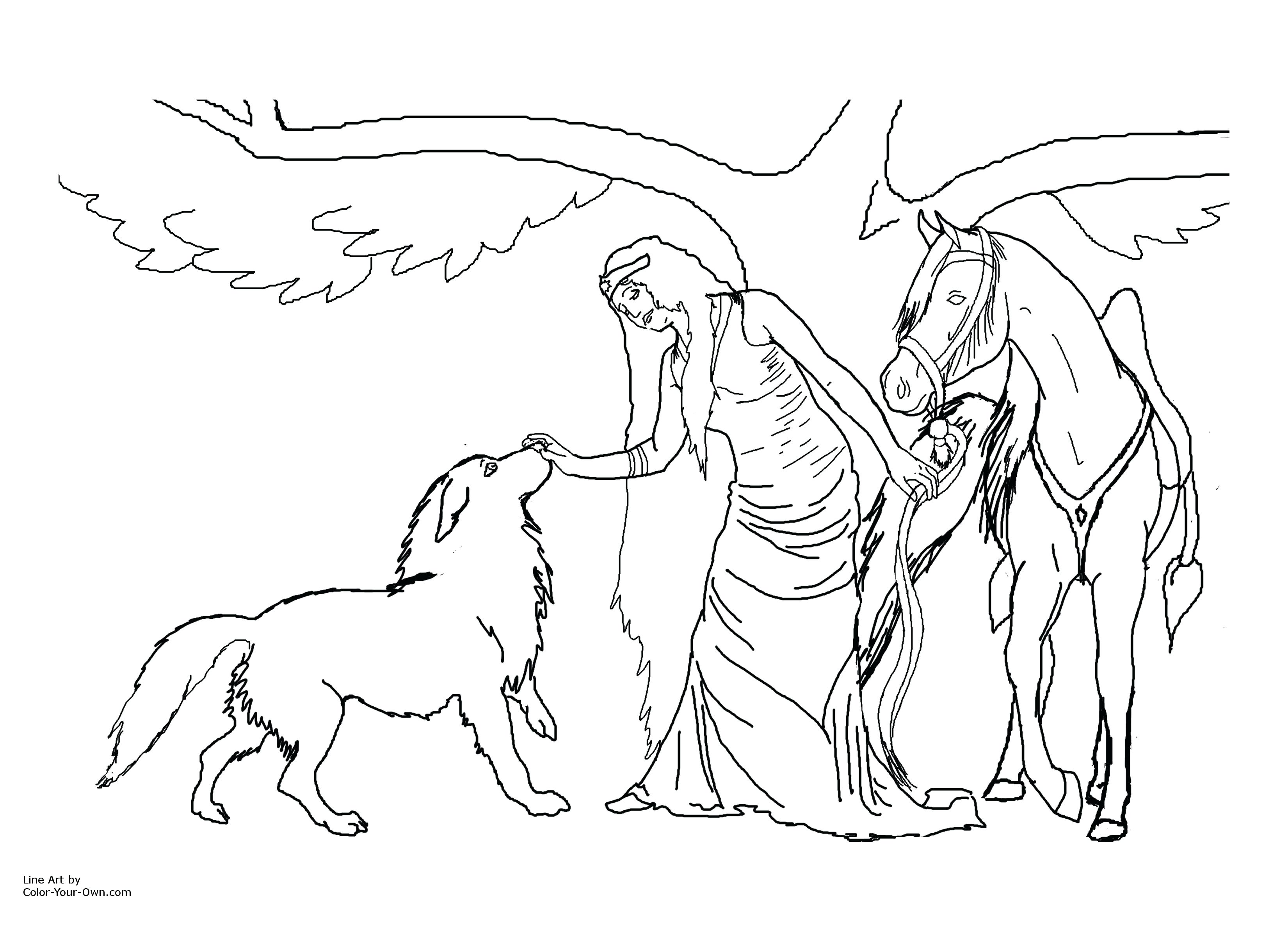 3300x2400 Baby Seahorse Coloring Pages