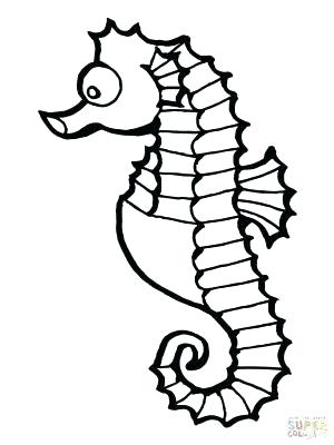 300x400 Baby Seahorse Coloring Pages Medecine Du