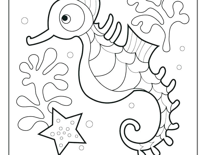 736x544 Big Rounded Eye Seahorse Coloring Page Big Rounded Eye Seahorse