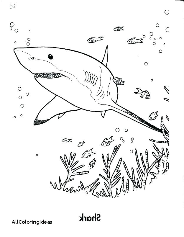 624x803 Shark Coloring Pages To Print Printable Shark Coloring Pages