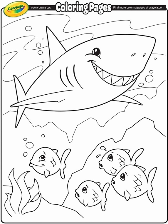 572x762 Baby Shark Coloring Page Shark Coloring Pages Shark Coloring Page